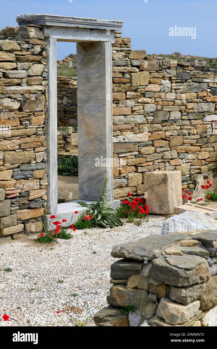 Porta di marmo in rovine di muro di pietra con fiori selvatici, isola di Delo antico, Arcipelago greco, Grecia Foto Stock