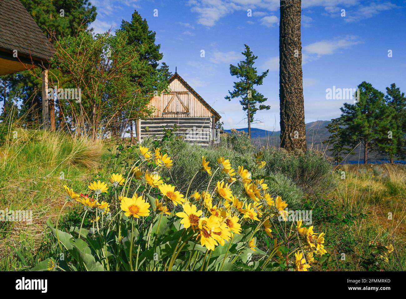Heritage Barn Building, Gellatly Regional Heritage Park, West Kelowna, Okanagan Valley, British Columbia, Canada Foto Stock