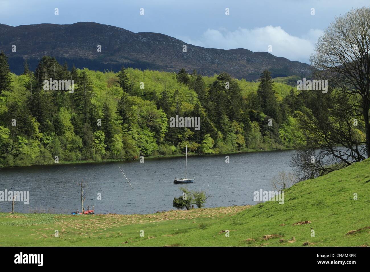 Fiume Garavogue, Sligo, Irlanda confinante con il campo verde e la foresta con alberi che si arenano fogliame verde, sullo sfondo di montagne e cieli sovrastanti Foto Stock