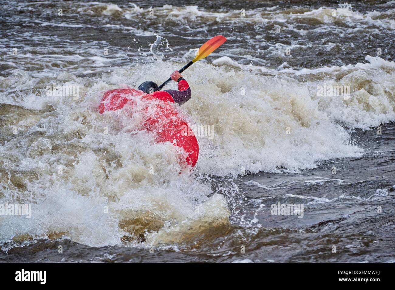 Il kayak sta navigando su un'onda nel Poudre River Whitewater Park nel centro di Fort Collins, Colorado Foto Stock