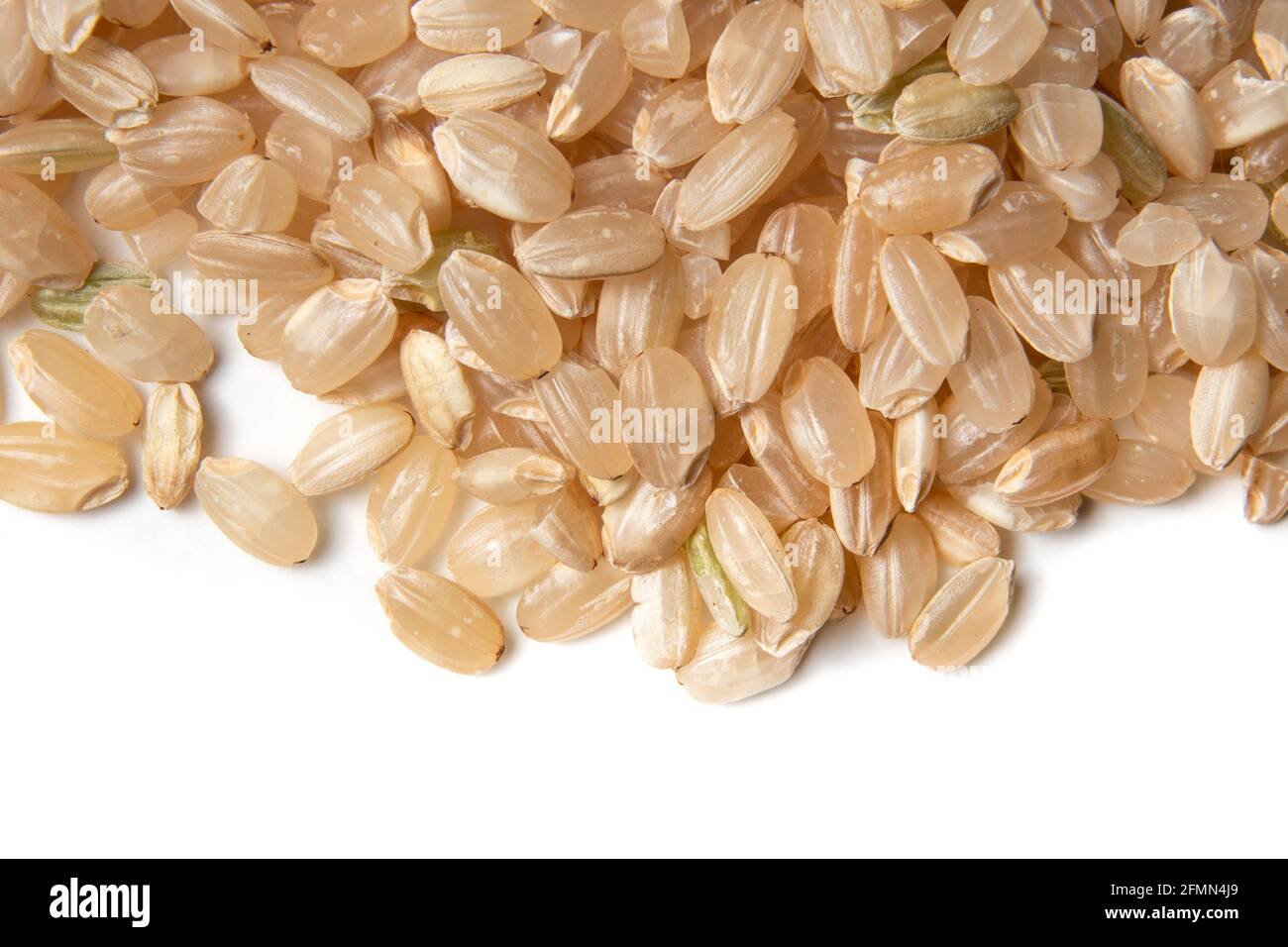 Marrone riso a grani corti, macro. Vista dall'alto di molti grani di riso secchi non cotti. Utilizzato per ricette a base di riso con consistenza cremosa, come risotto, budino di riso o Foto Stock