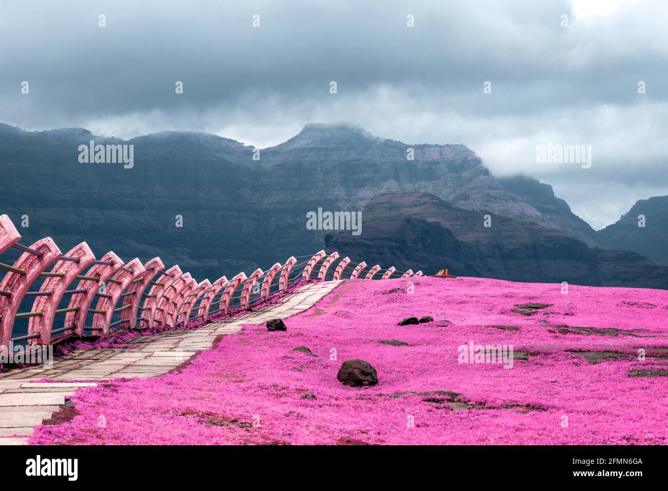 Bellissimo paesaggio a infrarossi dei campi verdi e colline a Malshej Ghat a Maharashtra, India Foto Stock