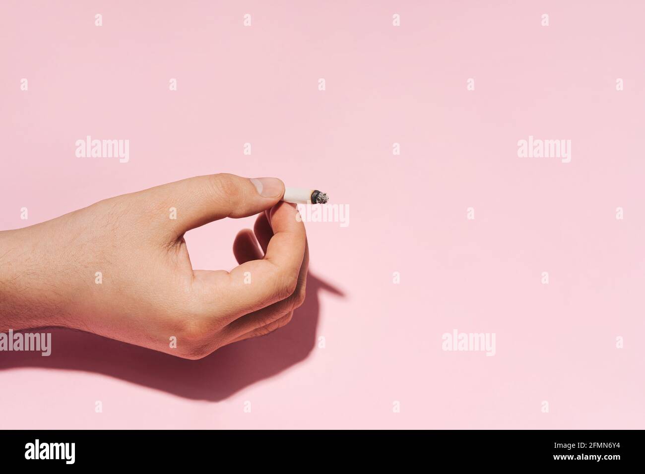Rotolo bruciato di sigaretta di carta in mano, sfondo rosa pastello Foto Stock