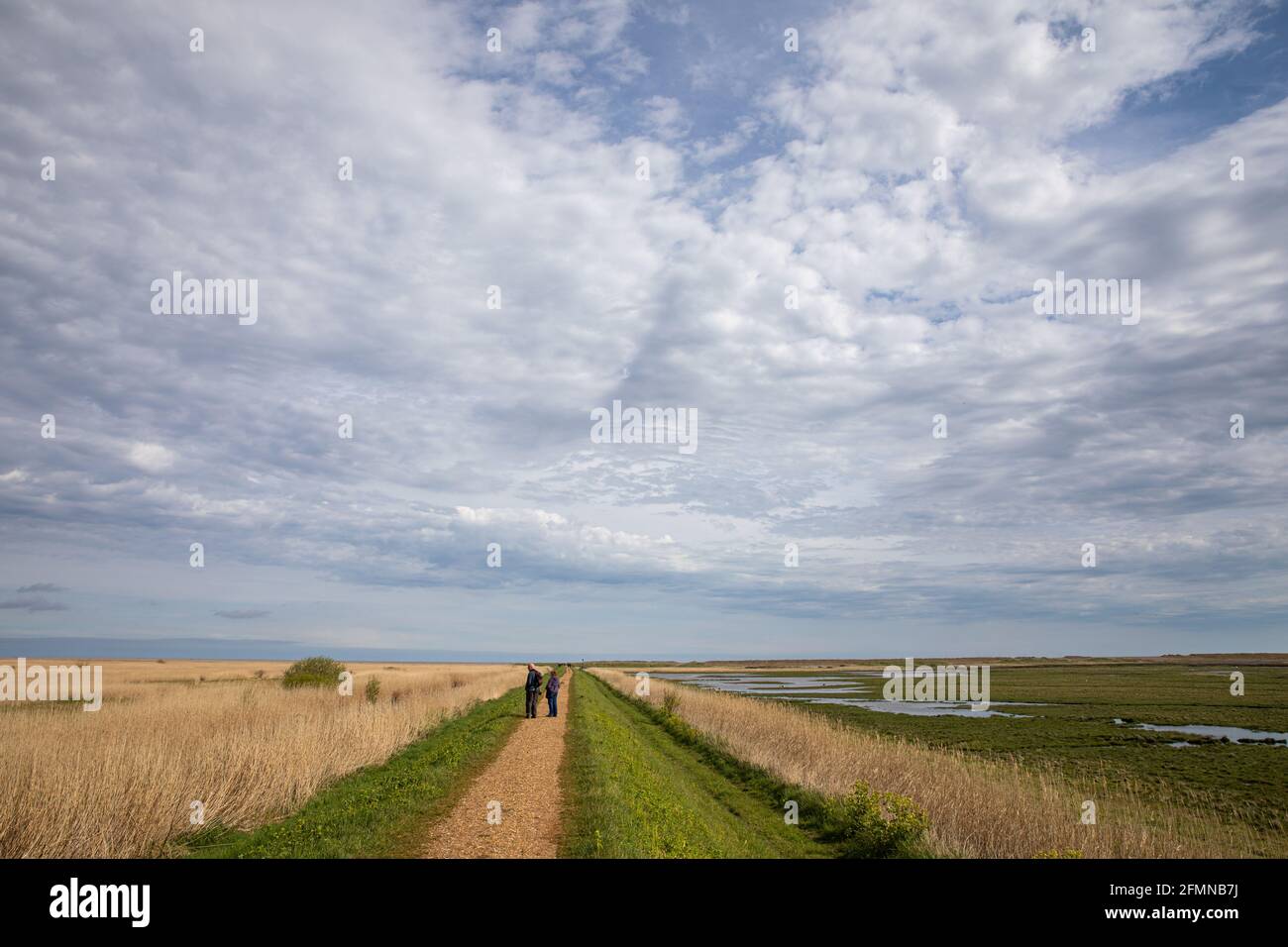 Cley Marshes Nature Reserve, Cley NEXT the Sea, Norfolk, Inghilterra Foto Stock