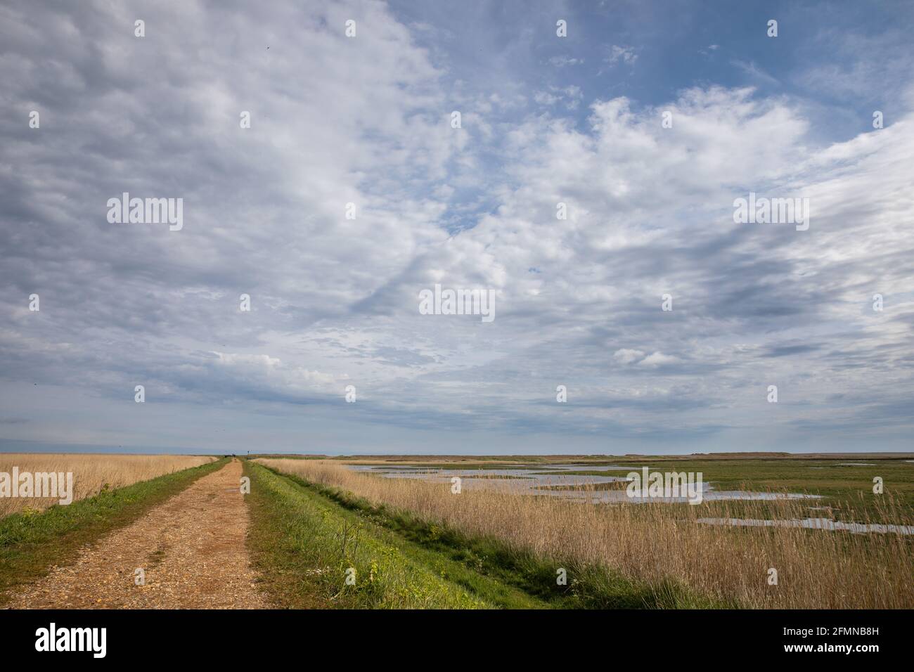Cley Marshes Nature Reserve, Cley NEXT the Sea, Norfolk, Inghilterra Foto Stock