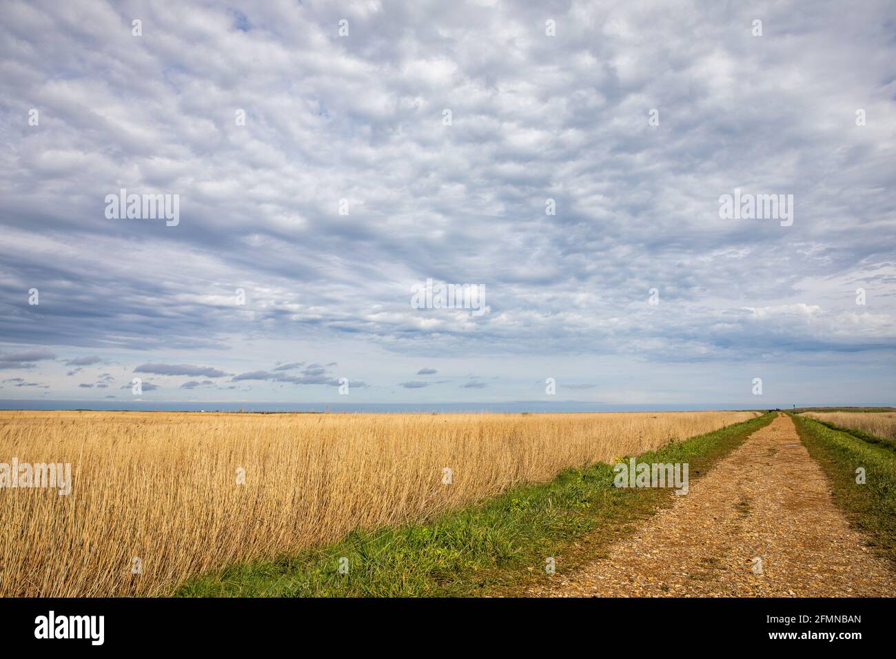 Cley Marshes Nature Reserve, Cley NEXT the Sea, Norfolk, Inghilterra Foto Stock