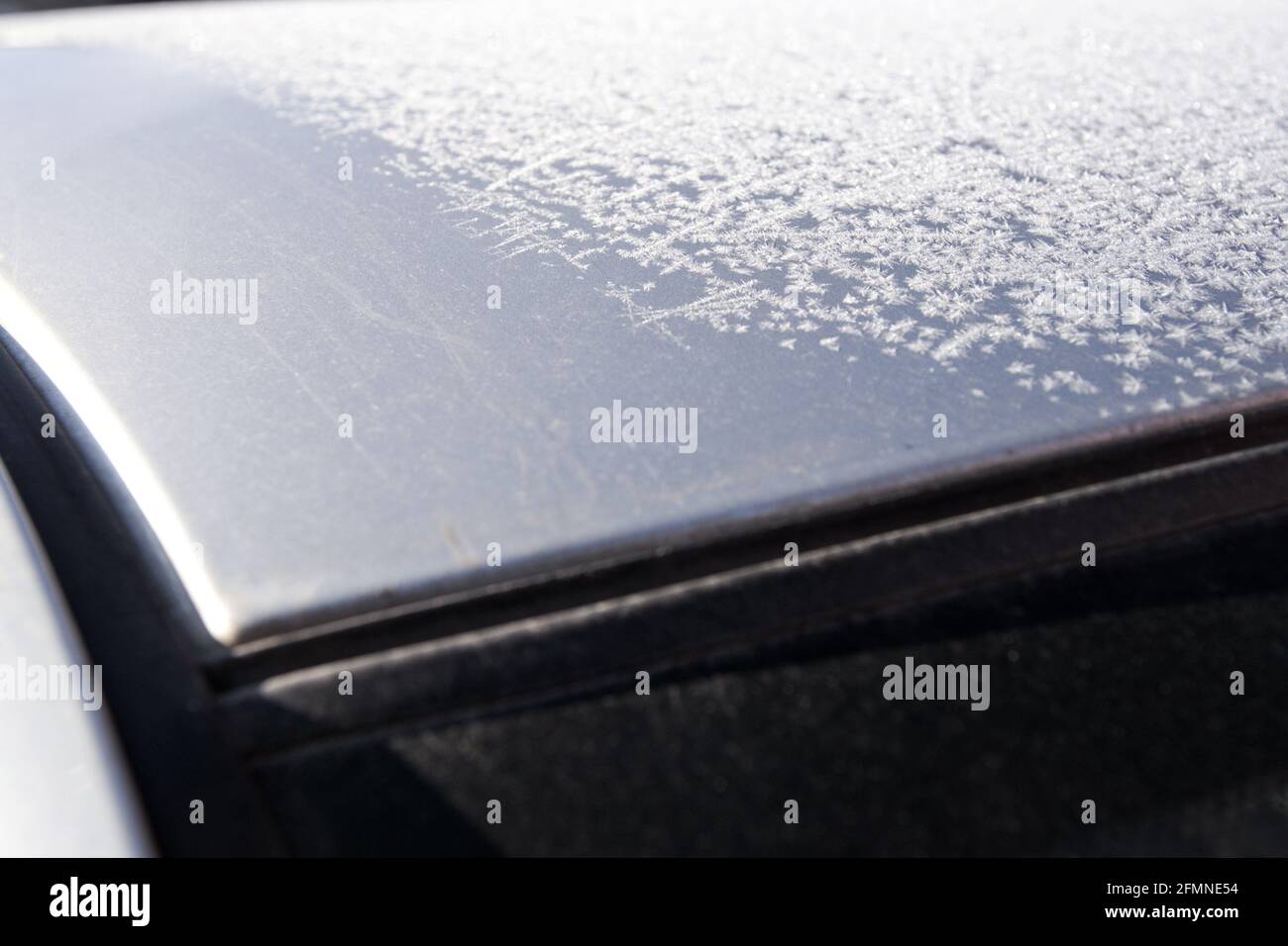 tetto auto coperto di brina. bordo è privo di brina. Sorprendente modello invernale su metallo Foto Stock