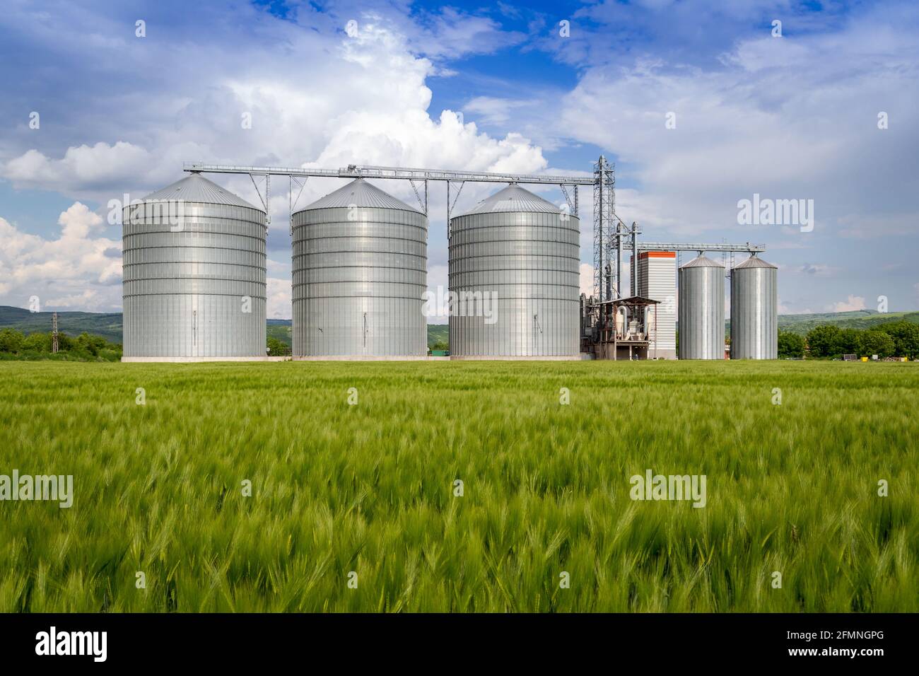 Silo agricolo con grano in primo piano - stoccaggio e essiccazione di cereali, grano, mais, soia, girasole contro il cielo blu con nuvole bianche Foto Stock