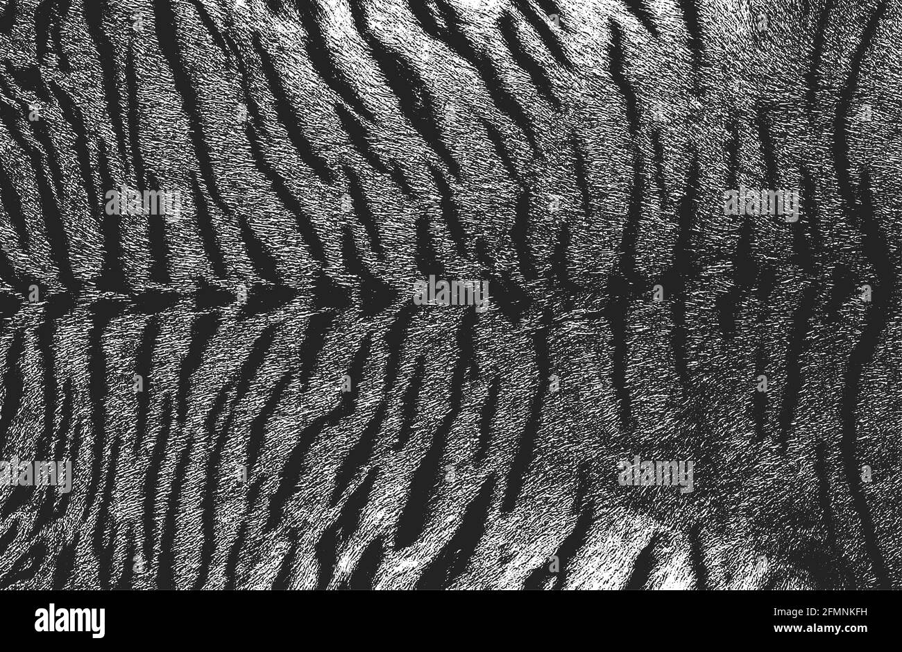 Trama di sovrapposizione in difficoltà di pelliccia naturale, sfondo vettoriale grunge. Illustrazione vettoriale astratta di mezzitoni Illustrazione Vettoriale