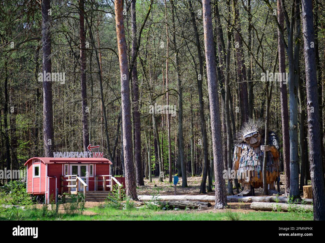 Beelitz, Germania. 10 maggio 2021. La grande scultura in legno "Waldemar" è situata al bordo di un sentiero accanto al "Waldemars Inn" nel parco a piedi nudi. In una foresta di 15 ettari di alberi decidui, pini e uccelli, il parco offre tre diversi percorsi con una lunghezza totale di circa tre chilometri e 66 stazioni di esperienza della natura. Passeggiate a piedi nudi è possibile su varie superfici con nomi melodiosi come scuola di vena, palafitte di arrampicata, pietre equilibranti, percorso cono di pino, tortura di cocco, torba bagnata e travi tremanti. Credit: Soeren Stache/dpa-zentralbild/ZB/dpa/Alamy Live News Foto Stock