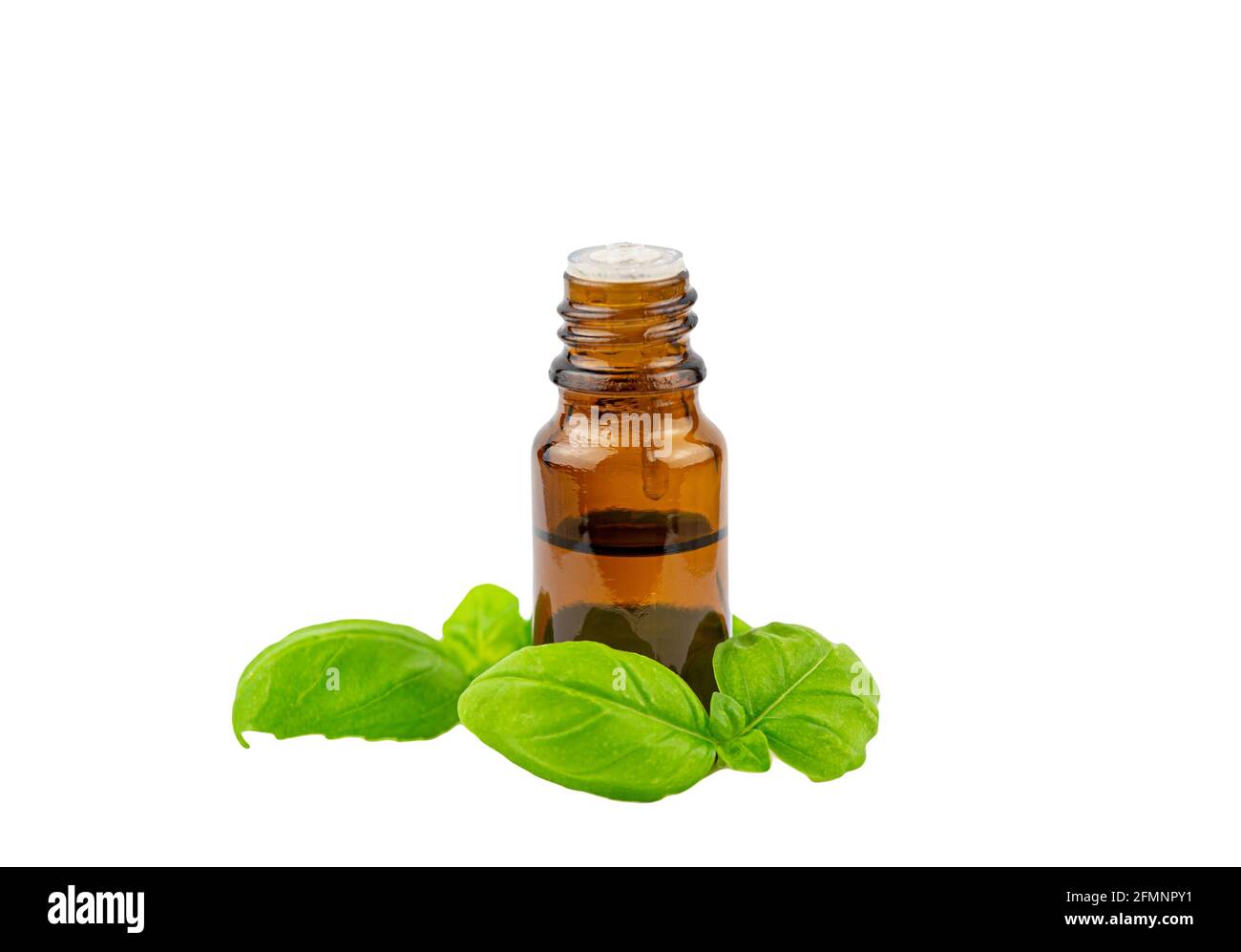 Basilico Ocimum basilicum bottiglia d'olio essenziale con foglia di basilico verde accanto, isolato su sfondo bianco, molto spazio per la copia, studio shot. Foto Stock