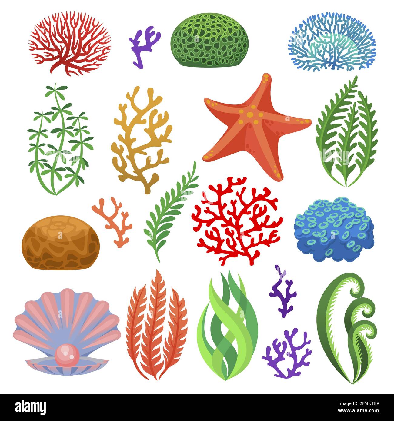Alghe. Cartoon coralli subacquei colorati, piante. Acquario, flora oceanica e sottomarina, stelle marine e conchiglia isolato insieme vettoriale. Piante marine tropicali, diversi elementi naturali Illustrazione Vettoriale