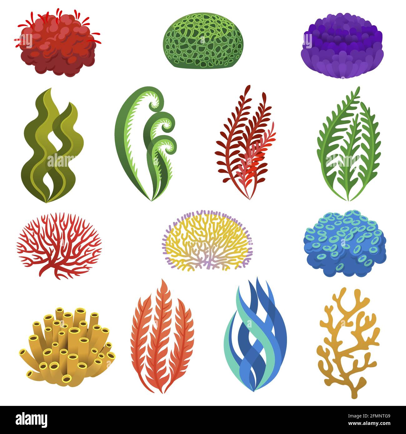 Alghe e coralli. Cartoon animali e piante della barriera corallina subacquea. Acquario, flora oceanica e marina, insieme vettoriale elementi floreali marini. Anemoni e alghe che piantano stagcape, icone acquatiche Illustrazione Vettoriale