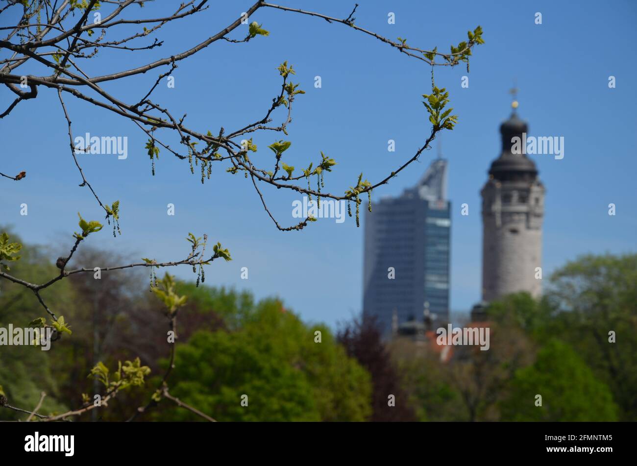 Alberi a Clara- Zetkin- Parco Lipsia con lo skyline in sfondo Foto Stock