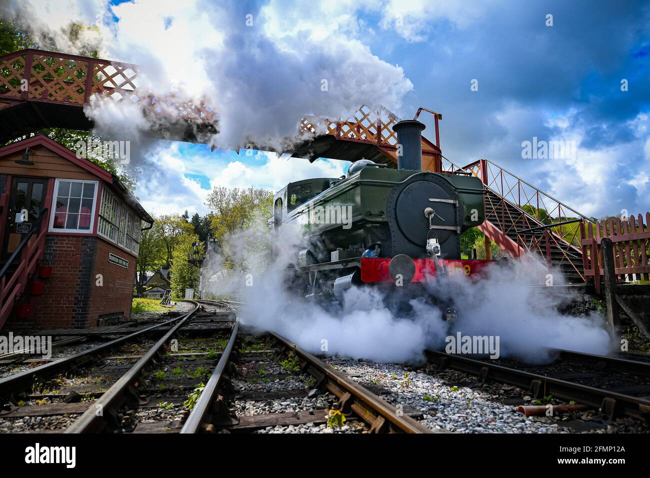 Great Western Pannier Tank 1336 Classe No. 1369, costruito nel 1933, guidato da Andy Letts è dato pieno vapore avanti per entrare nella stazione a vapore presso la South Devon Railway (SDR) a Buckfastleigh, South Devon, dove il personale, I conducenti e gli ingegneri stanno controllando le attrezzature mentre preparano l'attrazione per prepararsi alla riapertura al pubblico, lunedì 17 maggio, in vista di un ulteriore allentamento delle restrizioni di blocco in Inghilterra. Data immagine: Martedì 11 maggio 2021. Foto Stock