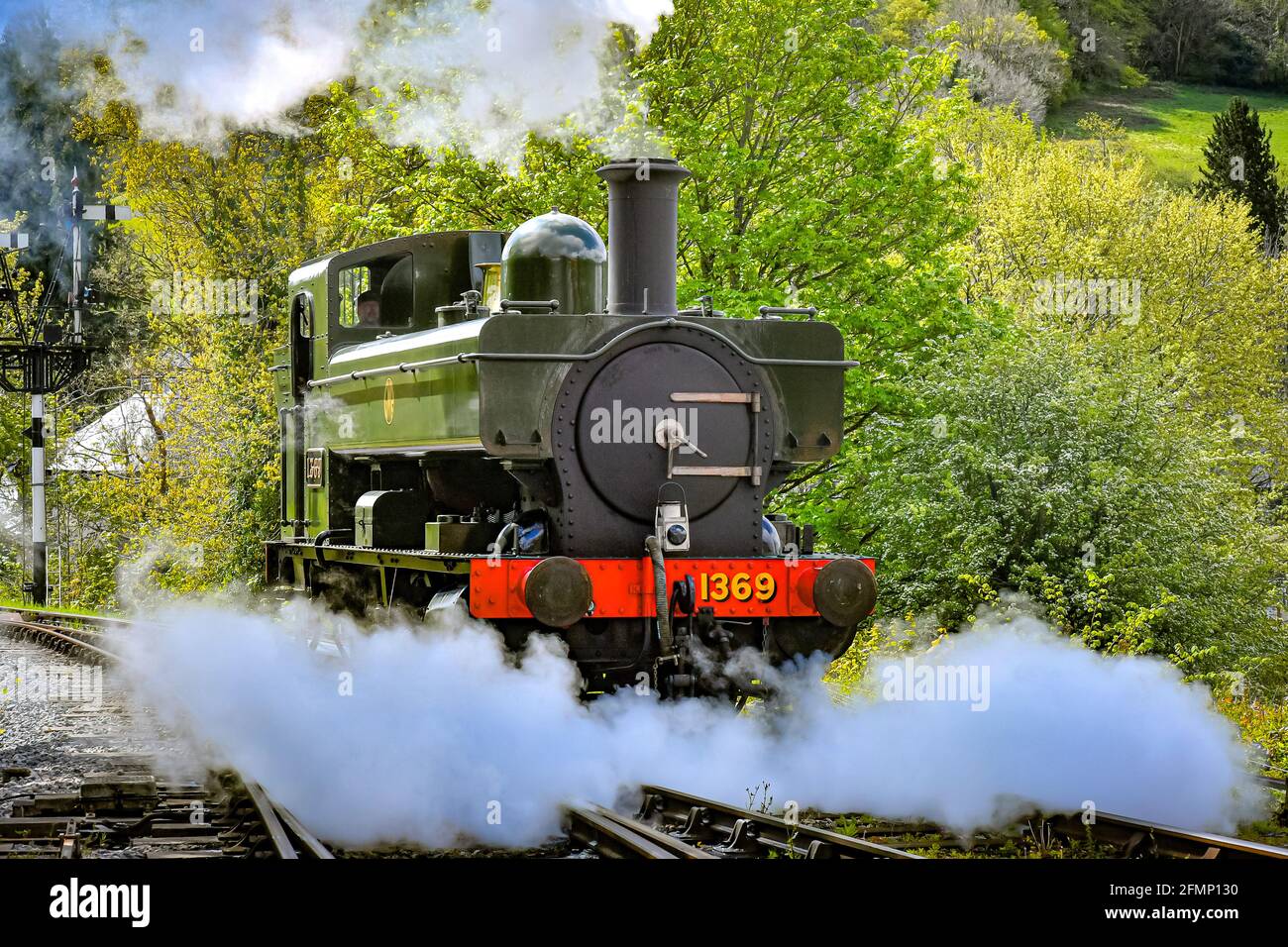 Great Western Pannier Tank 1336 Classe No. 1369, costruito nel 1933, guidato da Andy Letts è dato pieno vapore avanti per entrare nella stazione a vapore presso la South Devon Railway (SDR) a Buckfastleigh, South Devon, dove il personale, I conducenti e gli ingegneri stanno controllando le attrezzature mentre preparano l'attrazione per prepararsi alla riapertura al pubblico, lunedì 17 maggio, in vista di un ulteriore allentamento delle restrizioni di blocco in Inghilterra. Data immagine: Martedì 11 maggio 2021. Foto Stock