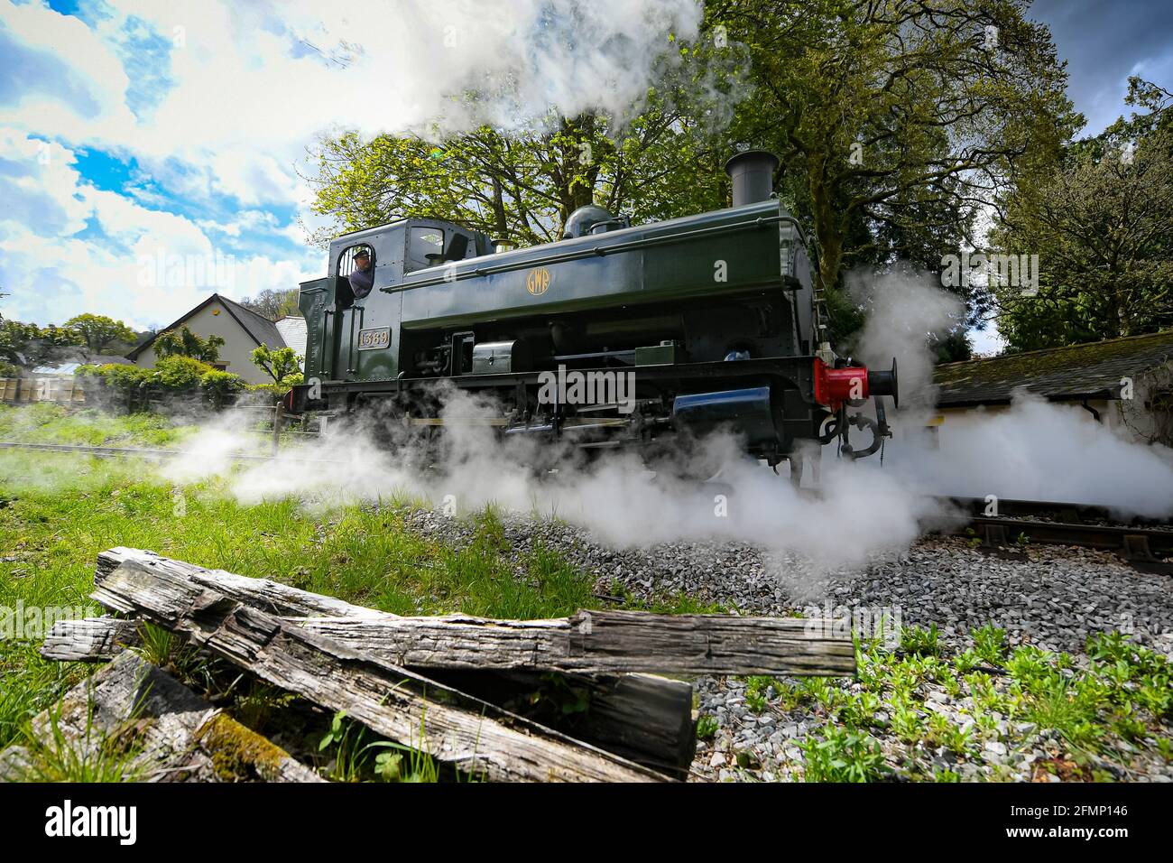 Great Western Pannier Tank 1336 Classe No. 1369, costruito nel 1933, guidato da Andy Letts è dato pieno vapore avanti per entrare nella stazione a vapore presso la South Devon Railway (SDR) a Buckfastleigh, South Devon, dove il personale, I conducenti e gli ingegneri stanno controllando le attrezzature mentre preparano l'attrazione per prepararsi alla riapertura al pubblico, lunedì 17 maggio, in vista di un ulteriore allentamento delle restrizioni di blocco in Inghilterra. Data immagine: Martedì 11 maggio 2021. Foto Stock