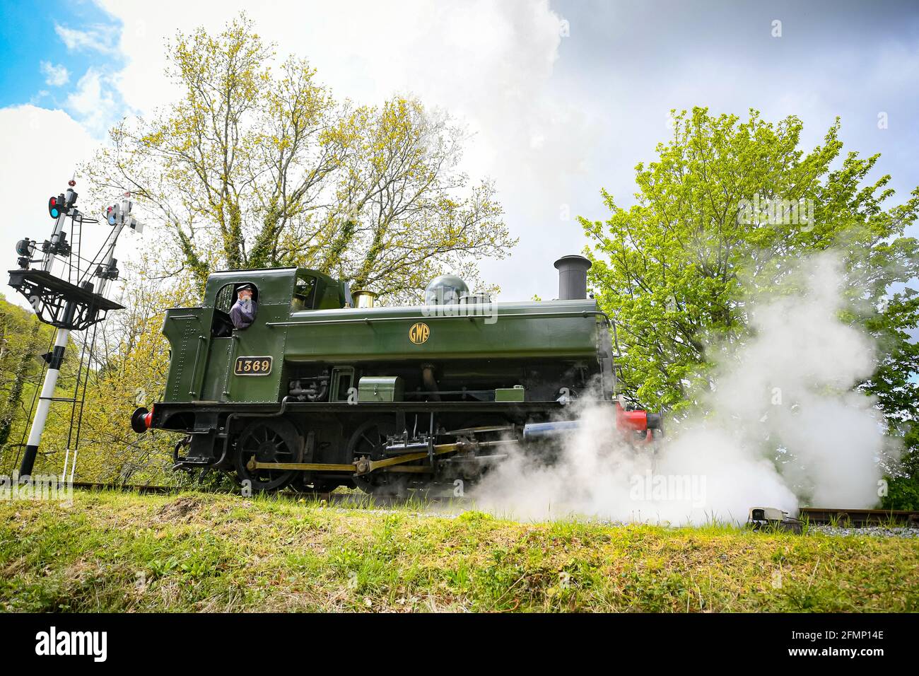 Great Western Pannier Tank 1336 Classe No. 1369, costruito nel 1933, guidato da Andy Letts è dato pieno vapore avanti per entrare nella stazione a vapore presso la South Devon Railway (SDR) a Buckfastleigh, South Devon, dove il personale, I conducenti e gli ingegneri stanno controllando le attrezzature mentre preparano l'attrazione per prepararsi alla riapertura al pubblico, lunedì 17 maggio, in vista di un ulteriore allentamento delle restrizioni di blocco in Inghilterra. Data immagine: Martedì 11 maggio 2021. Foto Stock