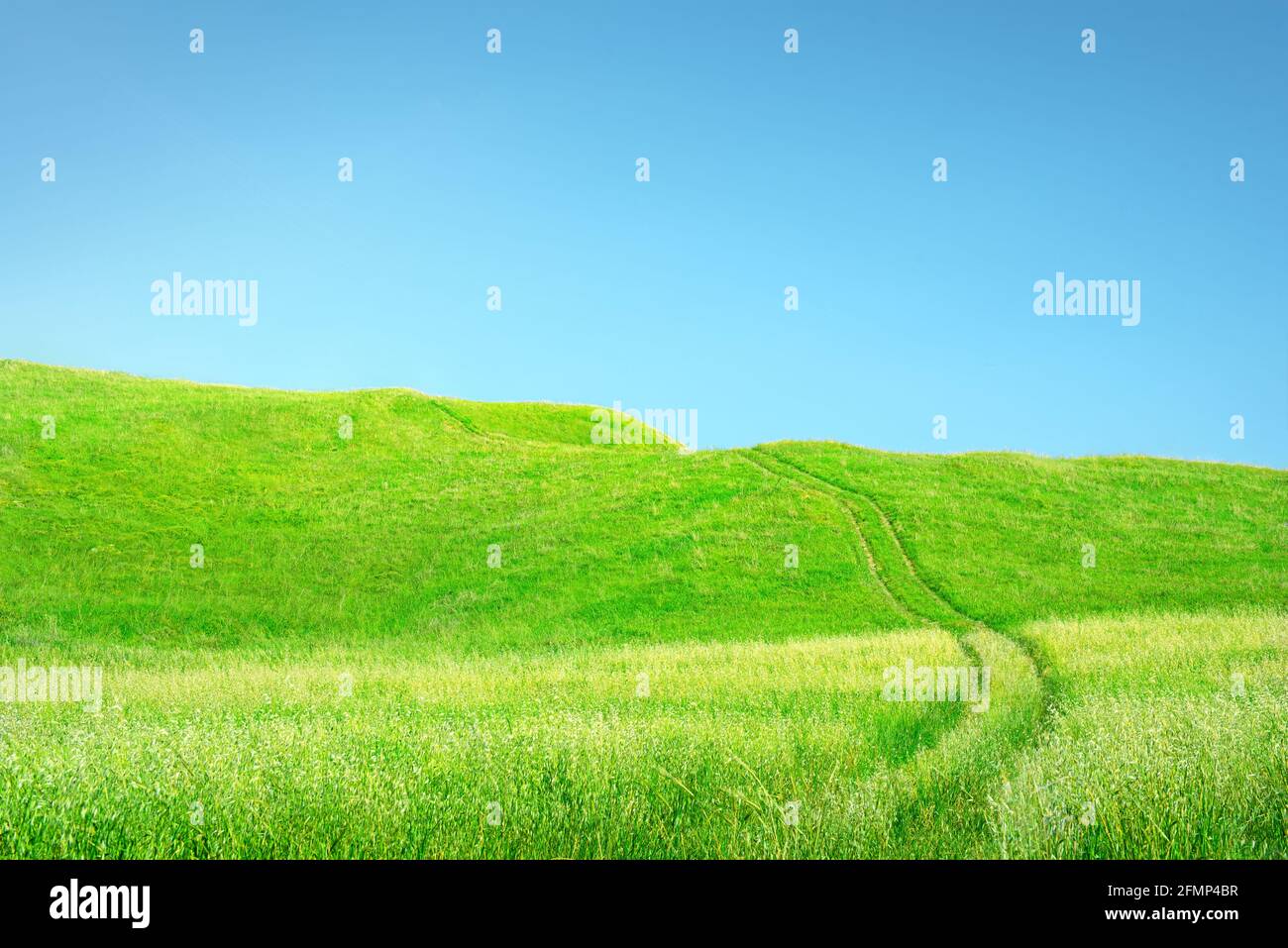 Erba e cielo di fondo. Erba verde con ruote e colline su cielo blu chiaro Foto Stock