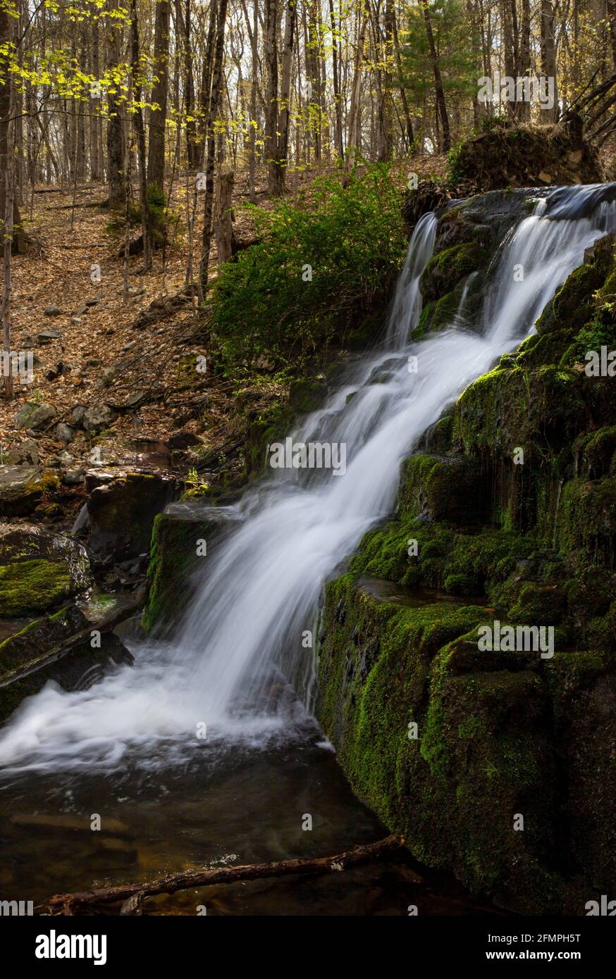 Una piccola cascata lungo Mill Creek nella Delaware Water Gap National Recreation Area, Pennsylvania Foto Stock