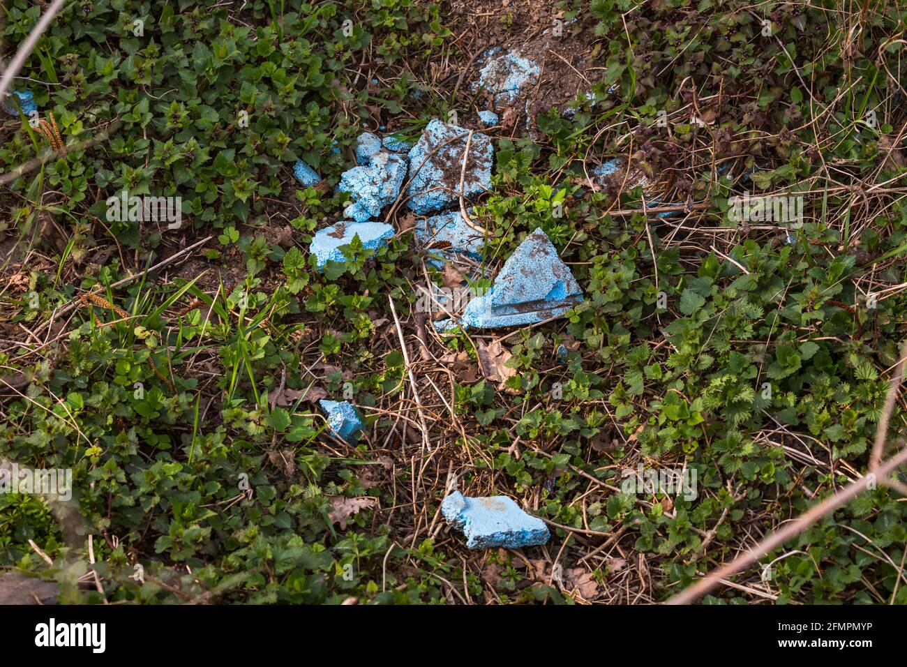 L'educazione ambientale è una parte importante dell'istruzione Foto Stock