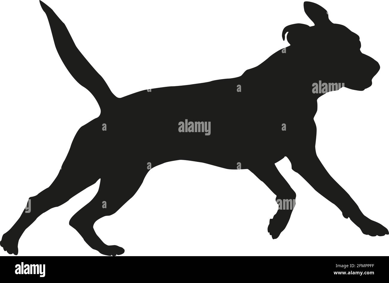 Silhouette nera per cani. Esecuzione americana pit bull terrier cucciolo. Isolato su sfondo bianco. Illustrazione vettoriale. Illustrazione Vettoriale