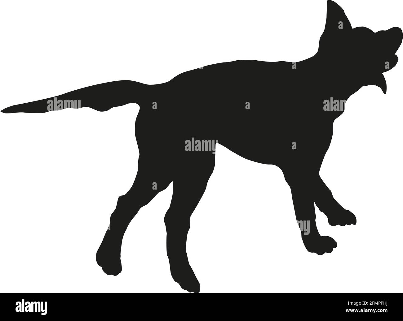 Corsa e salto labrador Retriever. Silhouette nera per cani. Isolato su sfondo bianco. Illustrazione vettoriale. Illustrazione Vettoriale