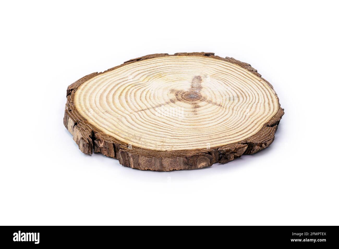 anello di tronco, placca fatta a mano di albero, uso decorativo in cucine e case Foto Stock