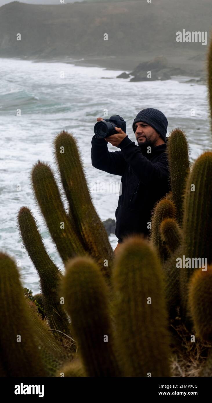 fotografo della natura, scattando foto dietro un cactus cileno, sullo sfondo dell'oceano pacifico Foto Stock