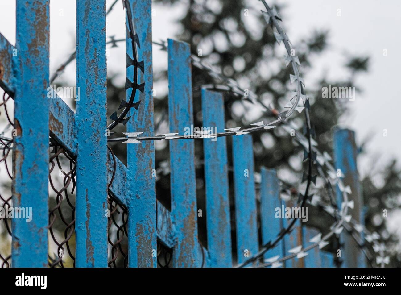 Una recinzione blu con filo spinato vicino alla prigione o all'ospedale mentale. Foto Stock