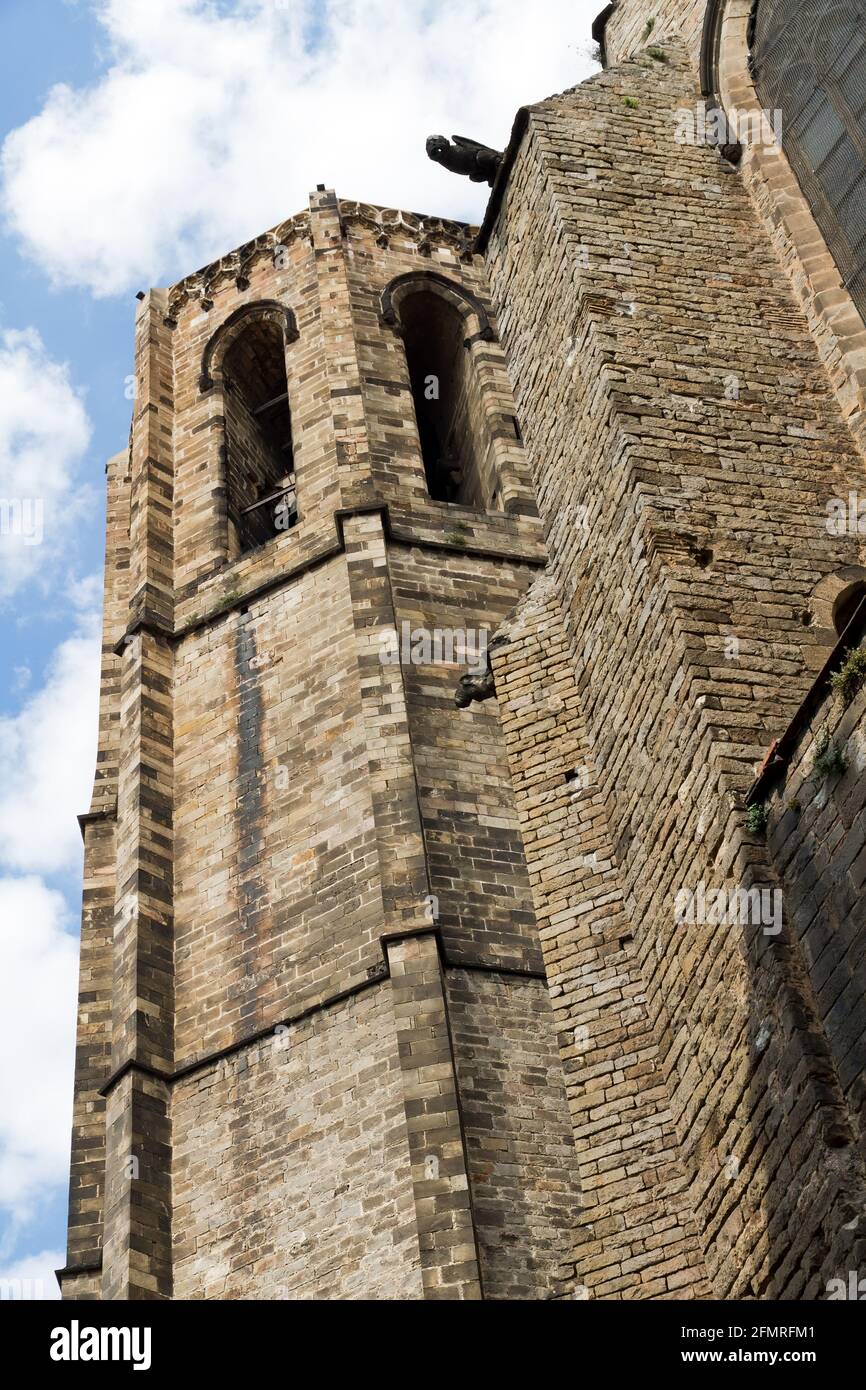 Cattedrale gotica di Barcellona, torre laterale ottagonale, e una delle tante gargoyle. Foto Stock