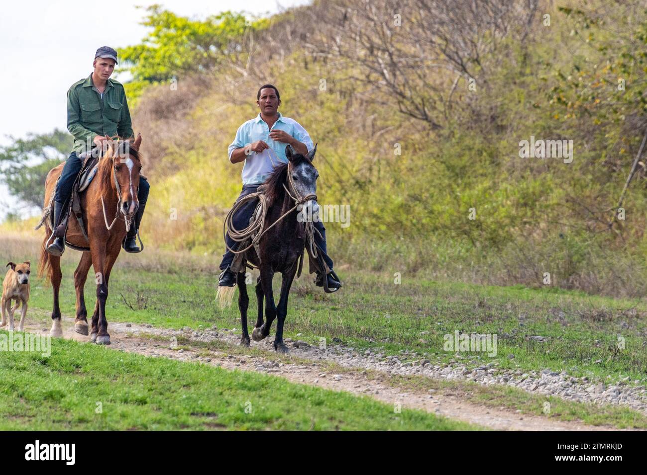 Uomini cubani a cavallo Foto Stock