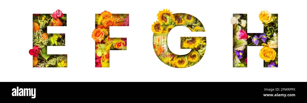 Lettere floreali. Le lettere e, F, G, H sono fatte da foto di fiori colorati. Una collezione di meravigliose lettere flora Foto Stock Lettere floreali. Le lettere e, F, G, H sono fatte da foto di fiori colorati. Una collezione di meravigliose lettere flora Foto Stock