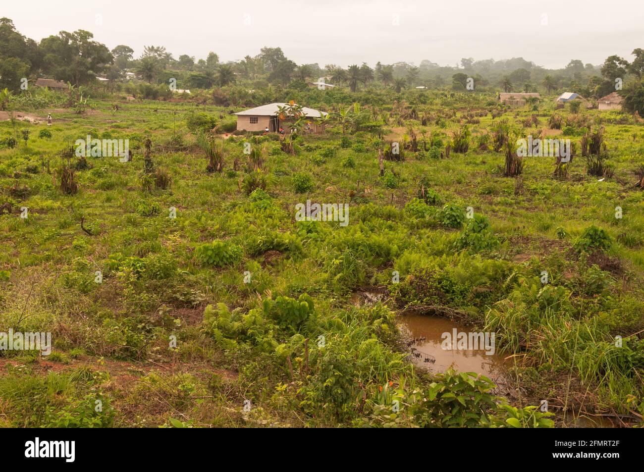 Villaggio rurale, Sinoe County, Liberia, Africa occidentale Foto Stock