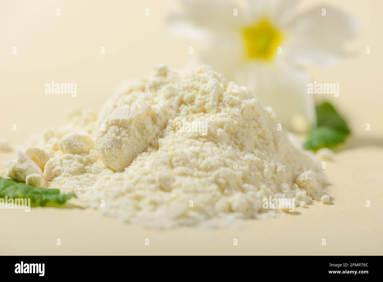 Polvere di gelatina reale essiccata su sfondo chiaro. Primo piano. Foto Stock
