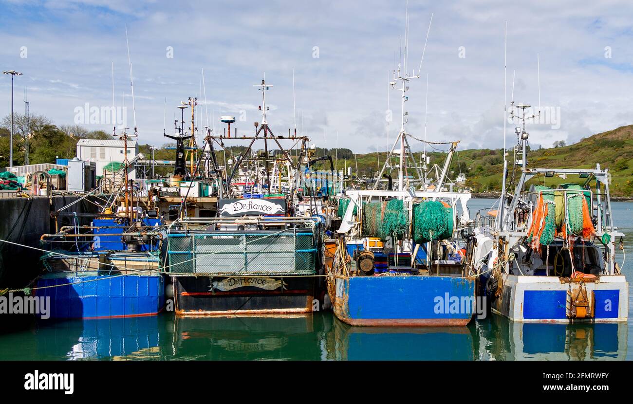 Sterns di pescherecci da traino legati lungo Keelbeg Pier, Union Hall, Irlanda Foto Stock