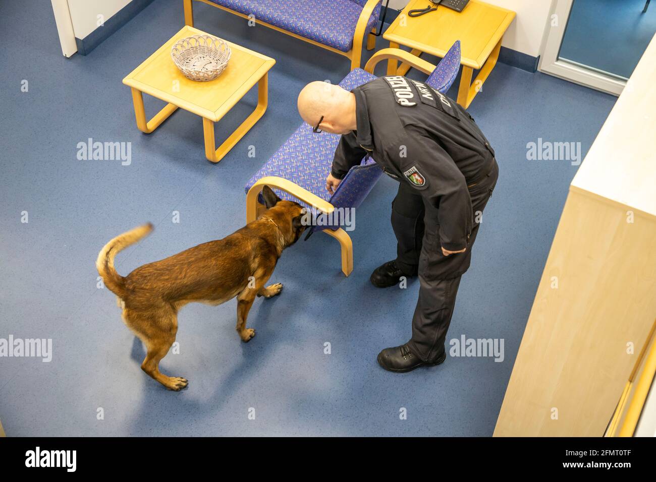 Storage di dati sniffer cane della polizia NRW, qui in un piano di formazione, istituto di formazione, i cani possono sniff out dati media come USB stick, hard dr Foto Stock