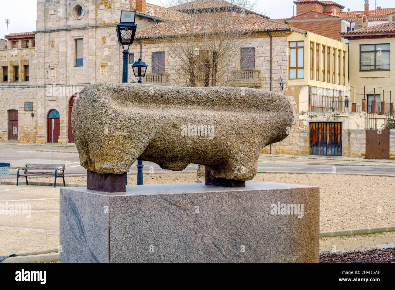 Cinghiale di granito in Toro Zamora Spagna. Origine di Veton del periodo pre-romano Foto Stock