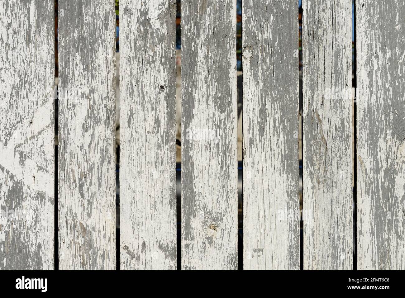 Struttura in legno che crea una bella superficie astratta con vecchia vernice bianca graffiata. Foto Stock