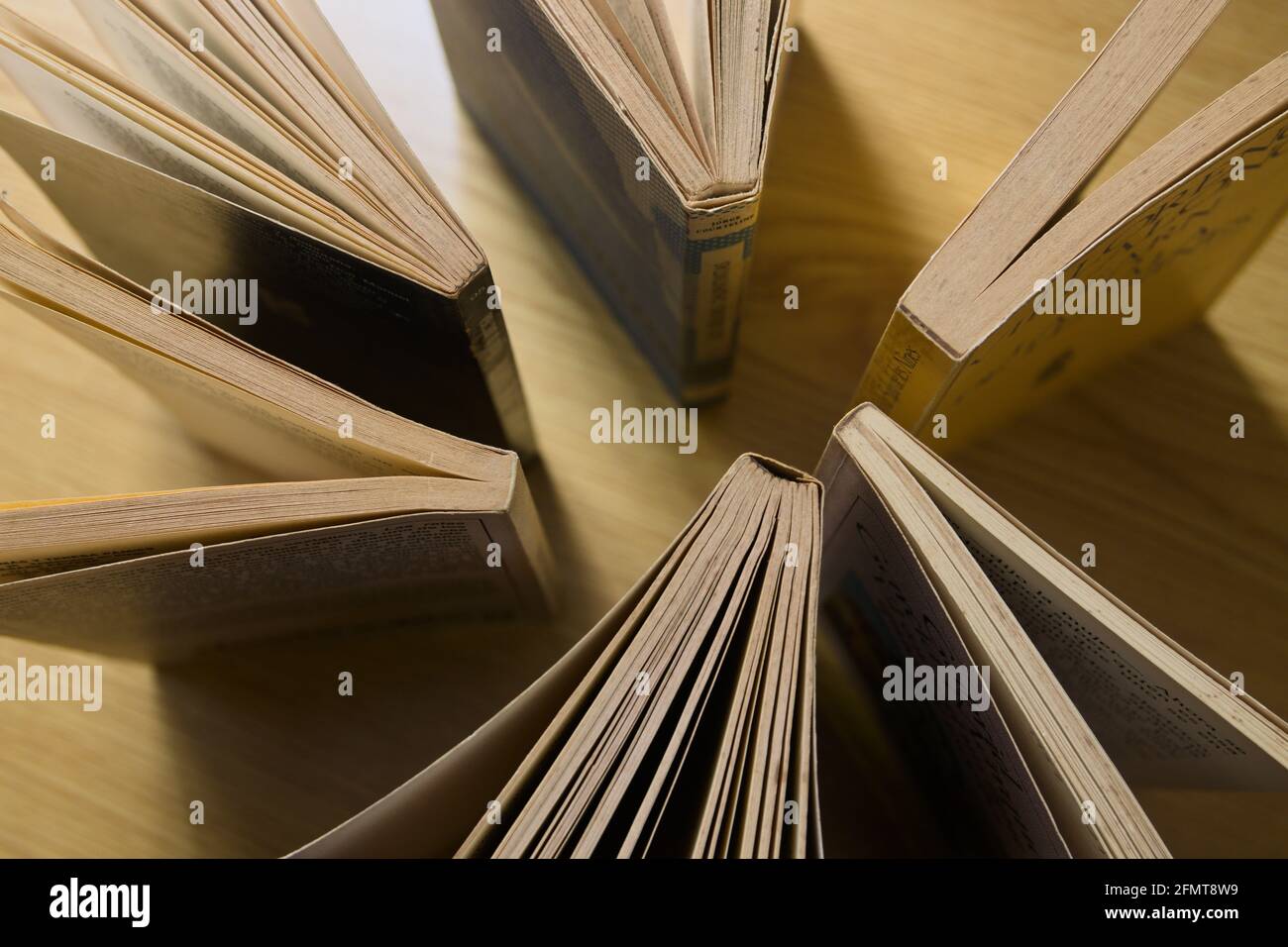 Immagine di libri di lettura che formano un cerchio intorno al loro spine viste dall'alto Foto Stock
