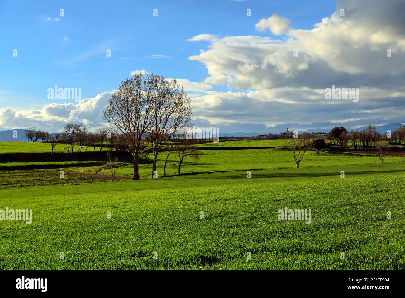 Campagna catalana, con cielo blu e pulito, primavera precoce. Spagna Foto Stock