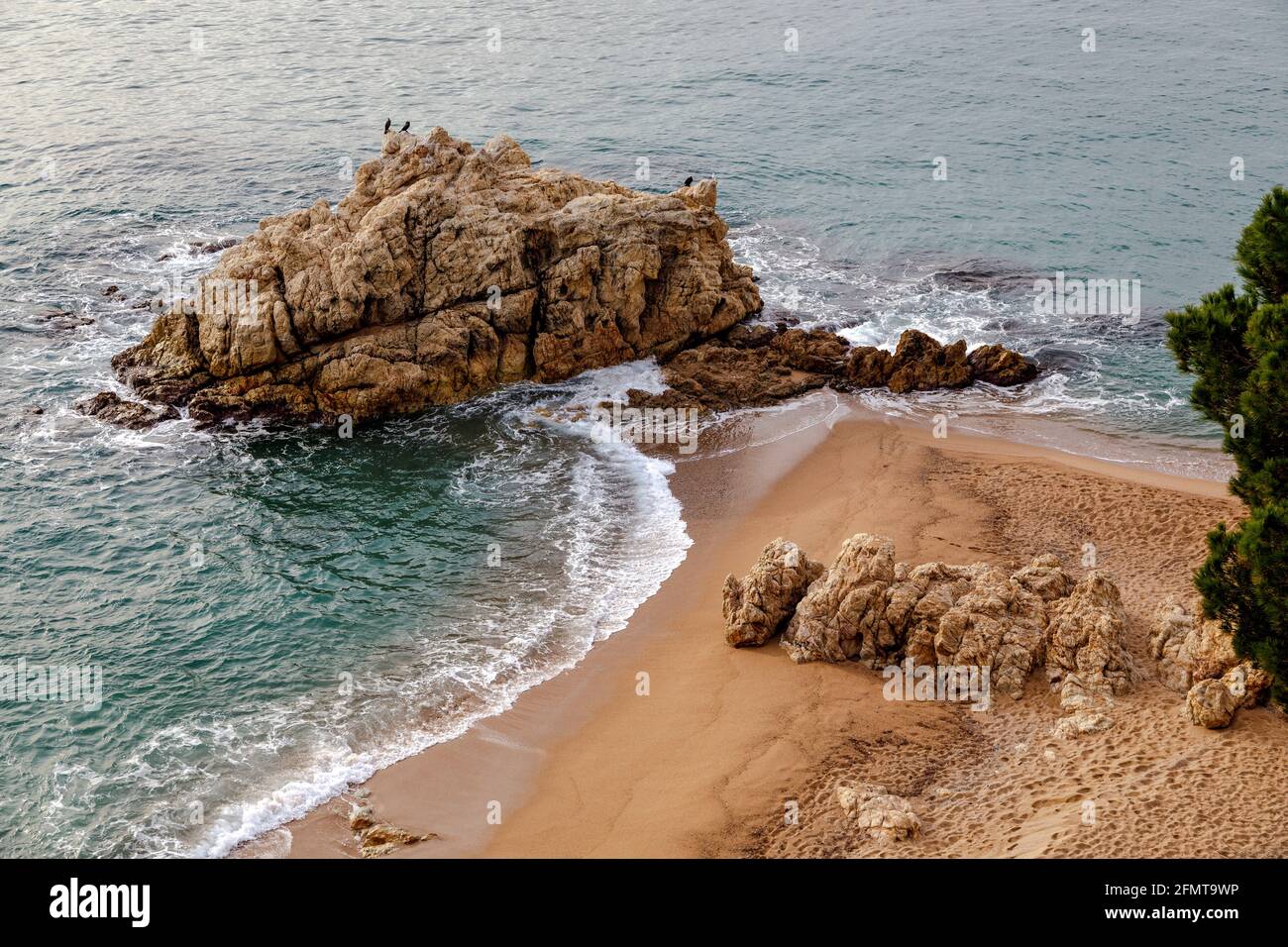 Calella de Palafrugell, Girona, Spagna. Paesaggio costiero della Costa Brava a Girona. Roccia Foto Stock