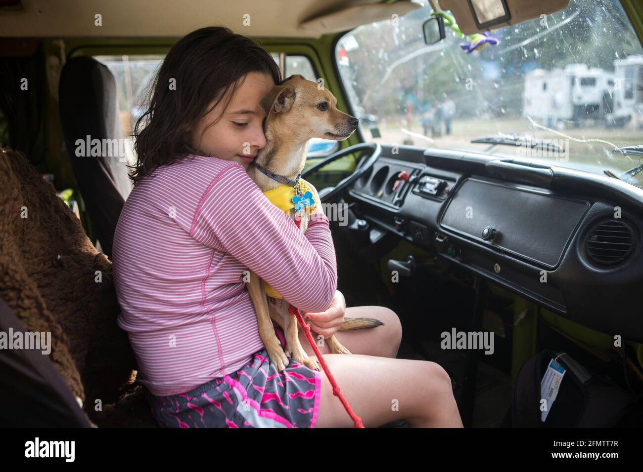 Una ragazza abbracca un cane chihuahua in VW camper van durante il viaggio su strada Foto Stock