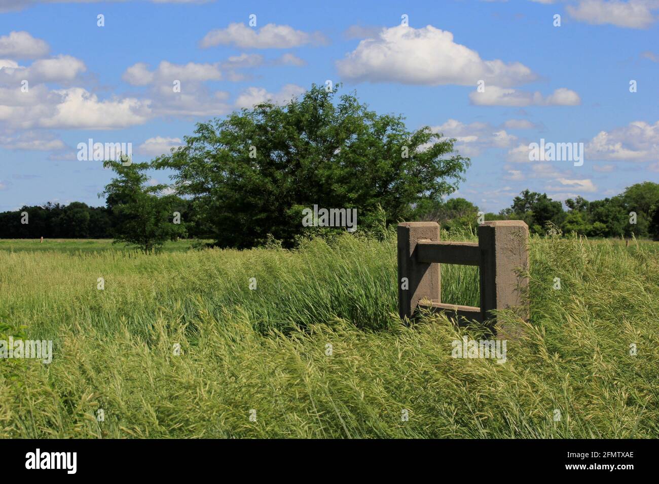 Vecchio ponte Cement Country con erba verde, albero che è fuori nel paese in Kansas. Foto Stock