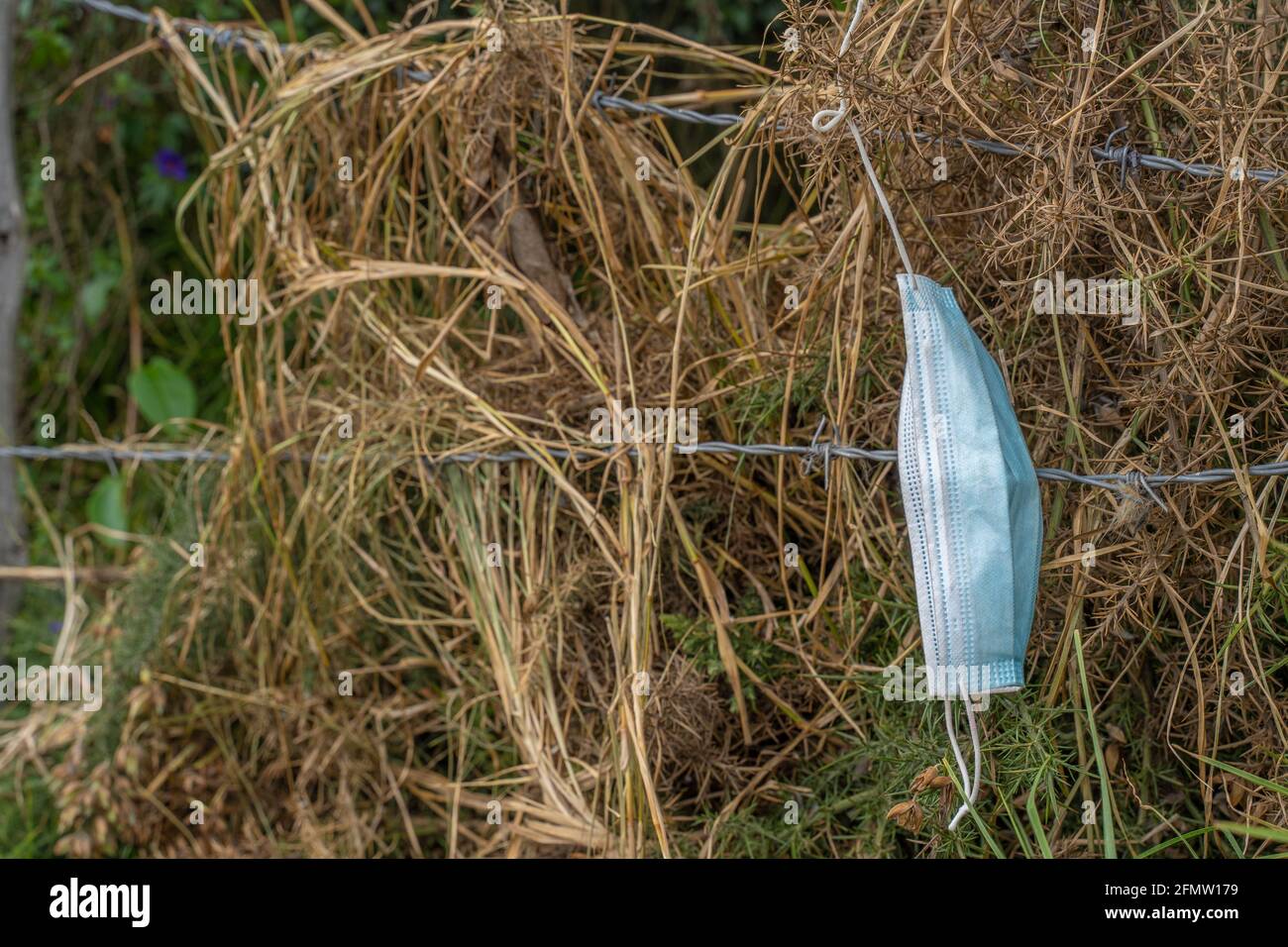 inquinamento della maschera chirurgica, cattivo per l'ambiente e l'ecologia Foto Stock