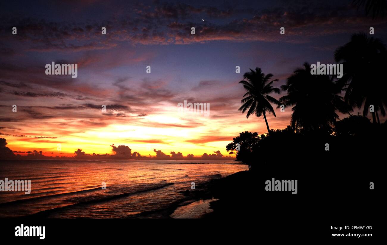 Leadership degli elefanti - Golden Hour formazione di nuvole di alba che prende il forma di un allevamento di elefanti Foto Stock