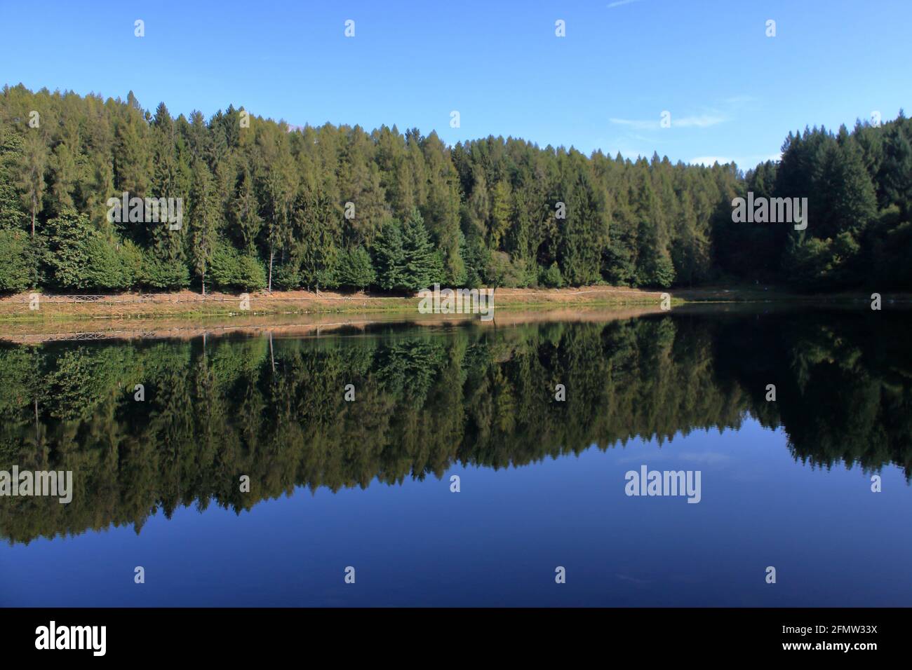 Lago alpino con bosco di conifere sullo sfondo e il suo Riflessione sull'acqua in Valchiusella Foto Stock