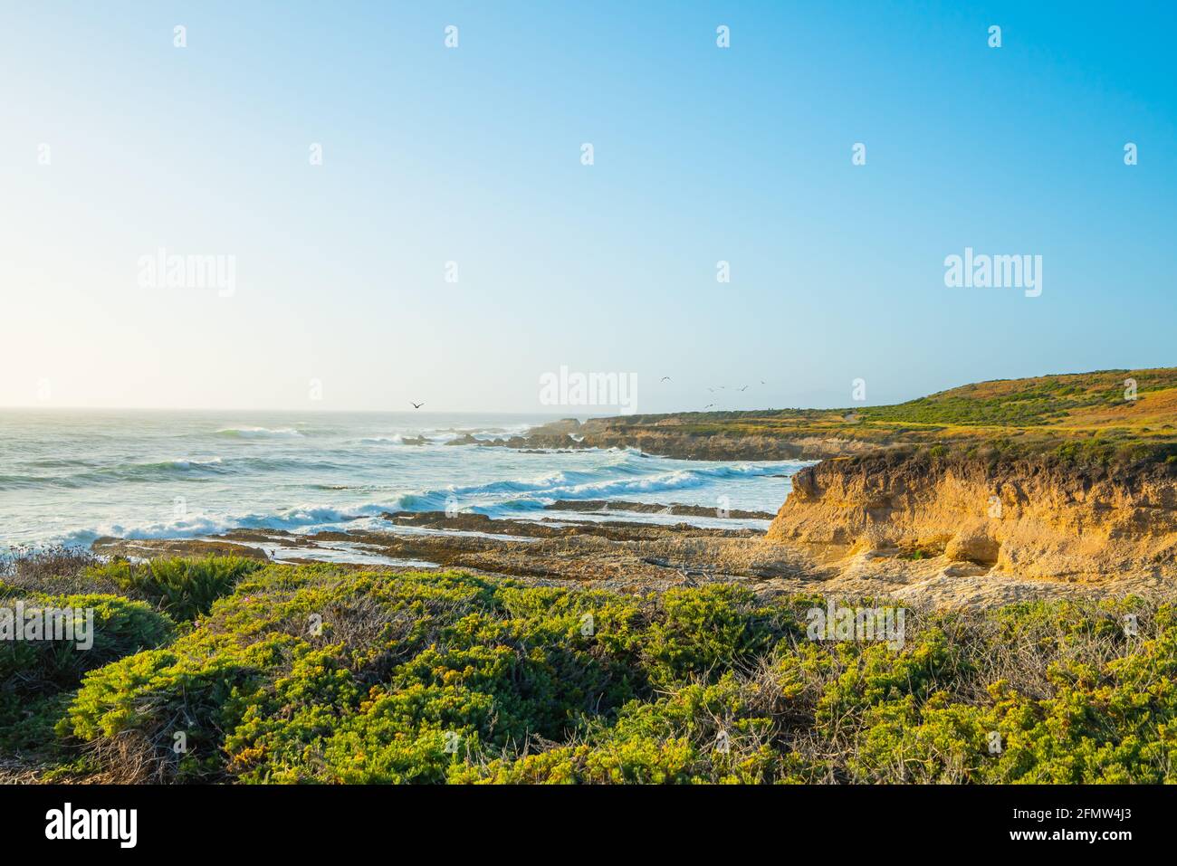 Paesaggio costiero, spiaggia rocciosa, orizzonte sul mare, e cielo blu chiaro. Foto Stock