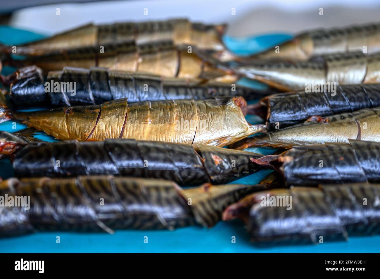 Pezzi di sgombro affumicato giacciono su un nastro trasportatore. Fabbrica di cibo di pesce. Foto Stock
