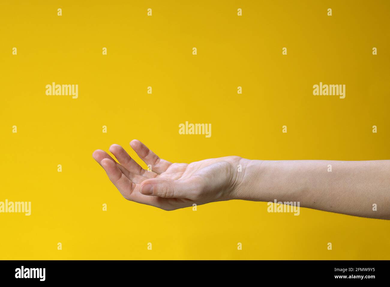 Donna mano che tiene o prende qualcosa su sfondo giallo. Aprire il gesto della mano Foto Stock
